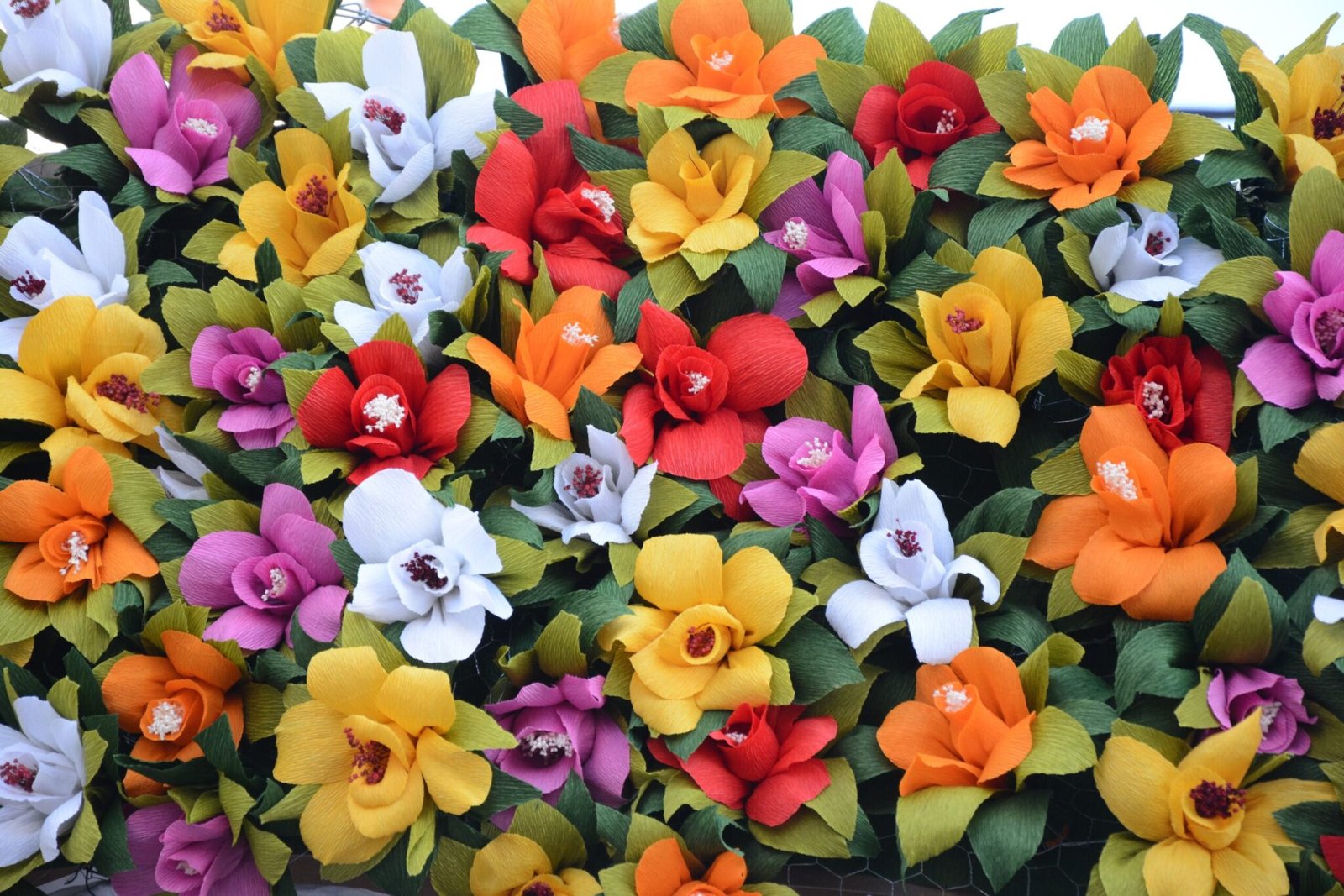 Rua-Capitao-Manuel-Antonio-Vieira-3-scaled